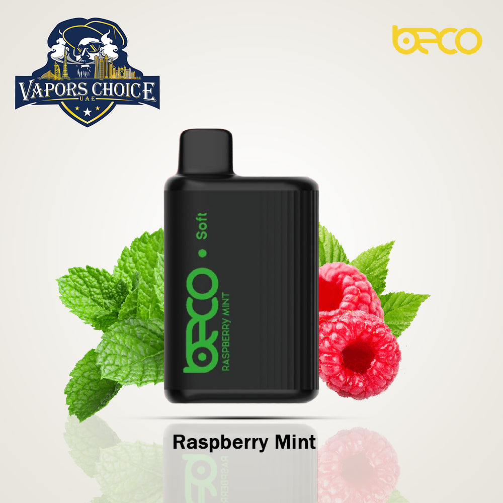 BECO SOFT (20 & 50mg) 6000 - PUFFS DISPOSABLE VAPE (Non-Rechargeable) Raspberry Mnit UAE Abu Dhabi & Al Ain