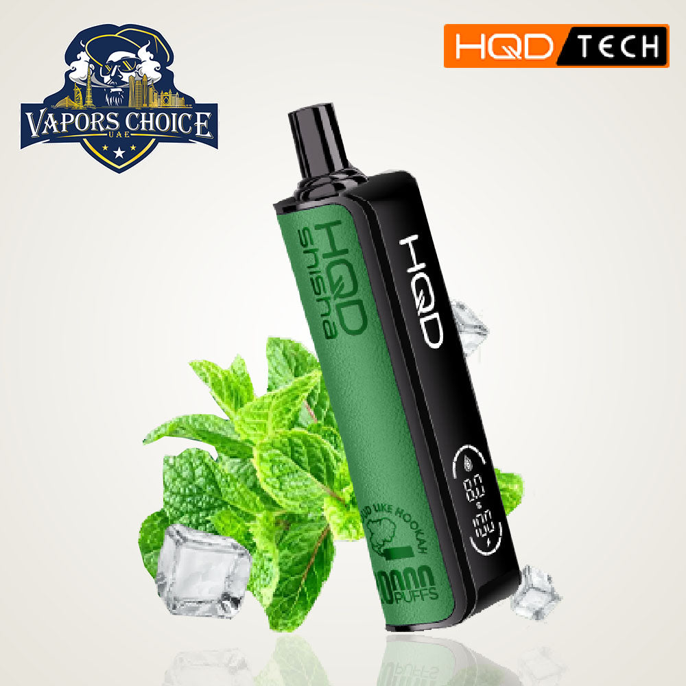 HQD Shisha (3mg) 20000 PUFFS DTL-DISPOSABLE VAPE Ice Mint UAE Abu Dhabi