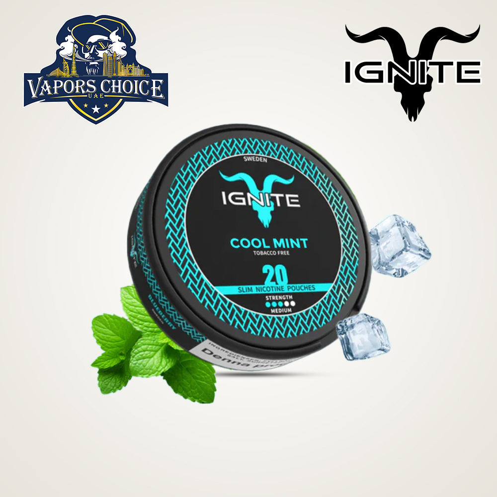 IGNITE Nicotine Pouches Cool Mint UAE Fujairah