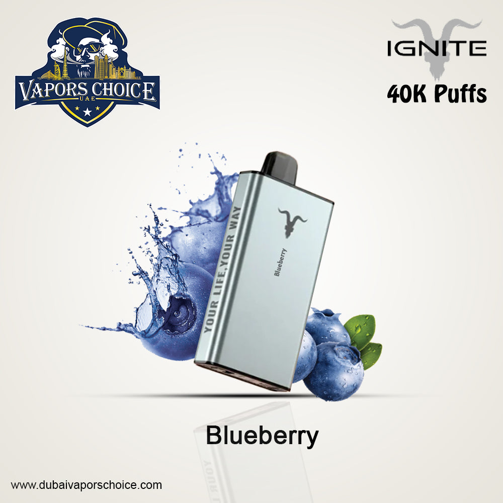 IGNITE ICE Disposable 40000 Puffs Blueberry UAE Abu Dhabi