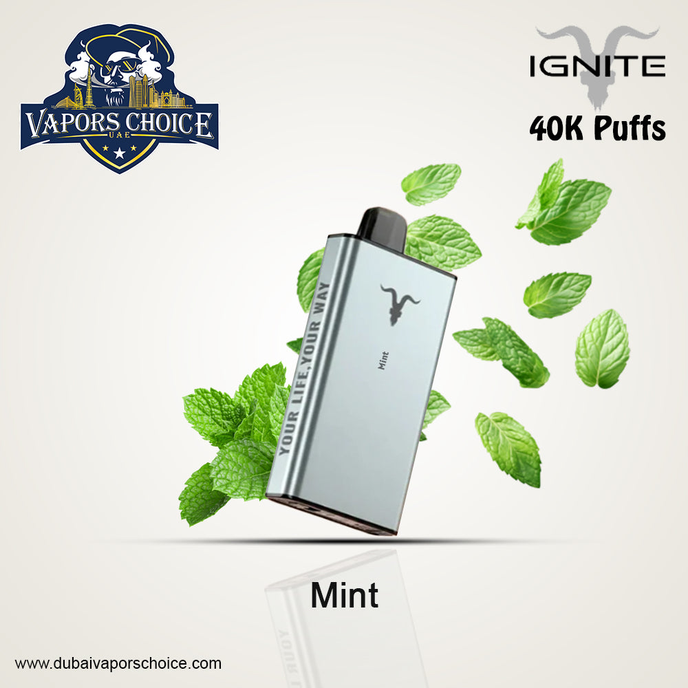 IGNITE ICE Disposable 40K Puffs Mint UAE Abu Dhabi & Sharjah