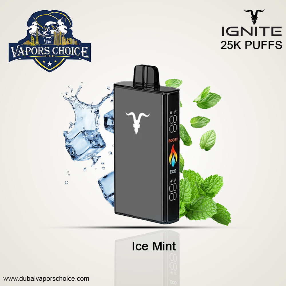 IGNITE V250-Disposable Vape 25K PUFFS Ice Mint UAE Abu Dhabi & Ajman