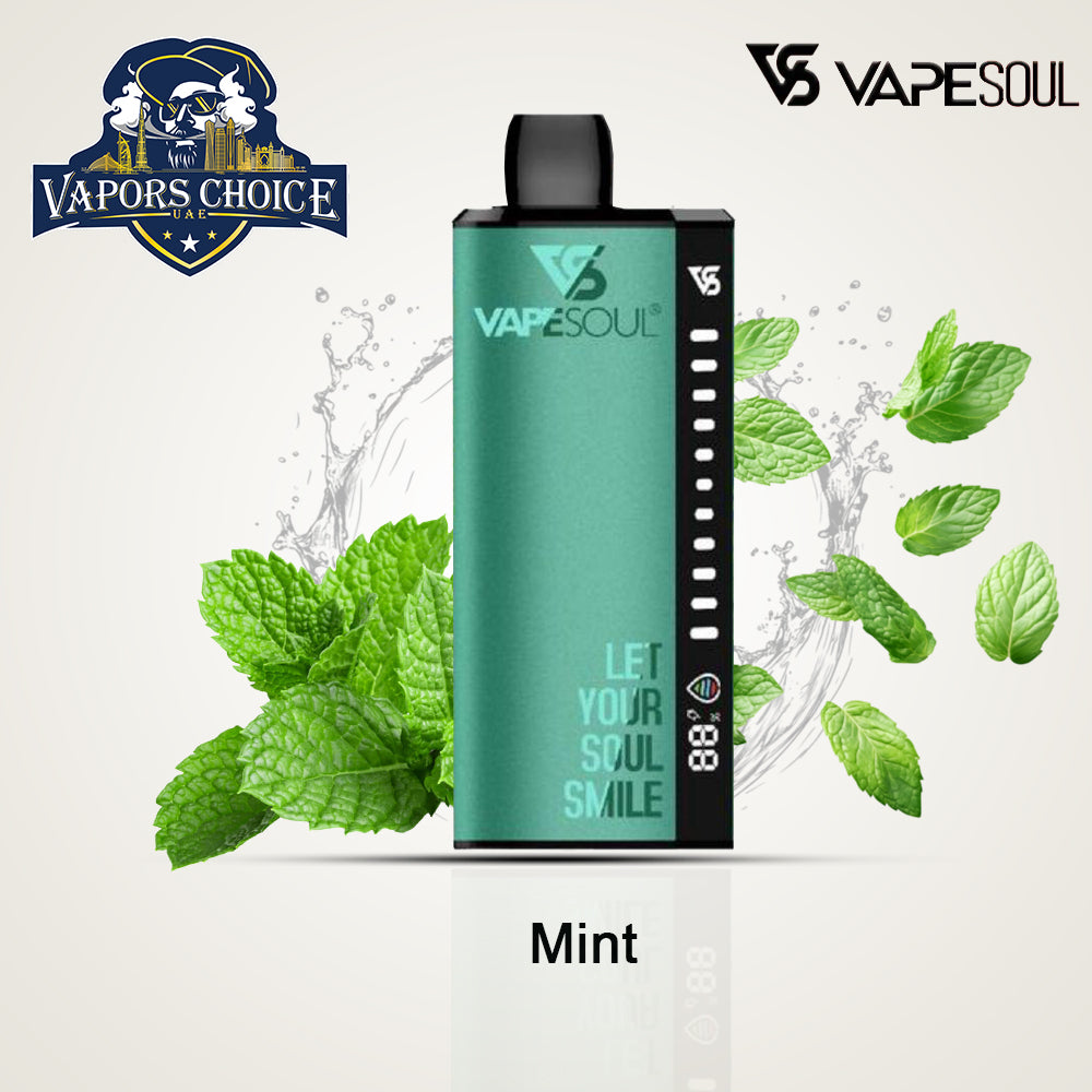VAPESOUL 40000 Puffs Disposable Vape - 2% Nicotine Mint UAE Dubai