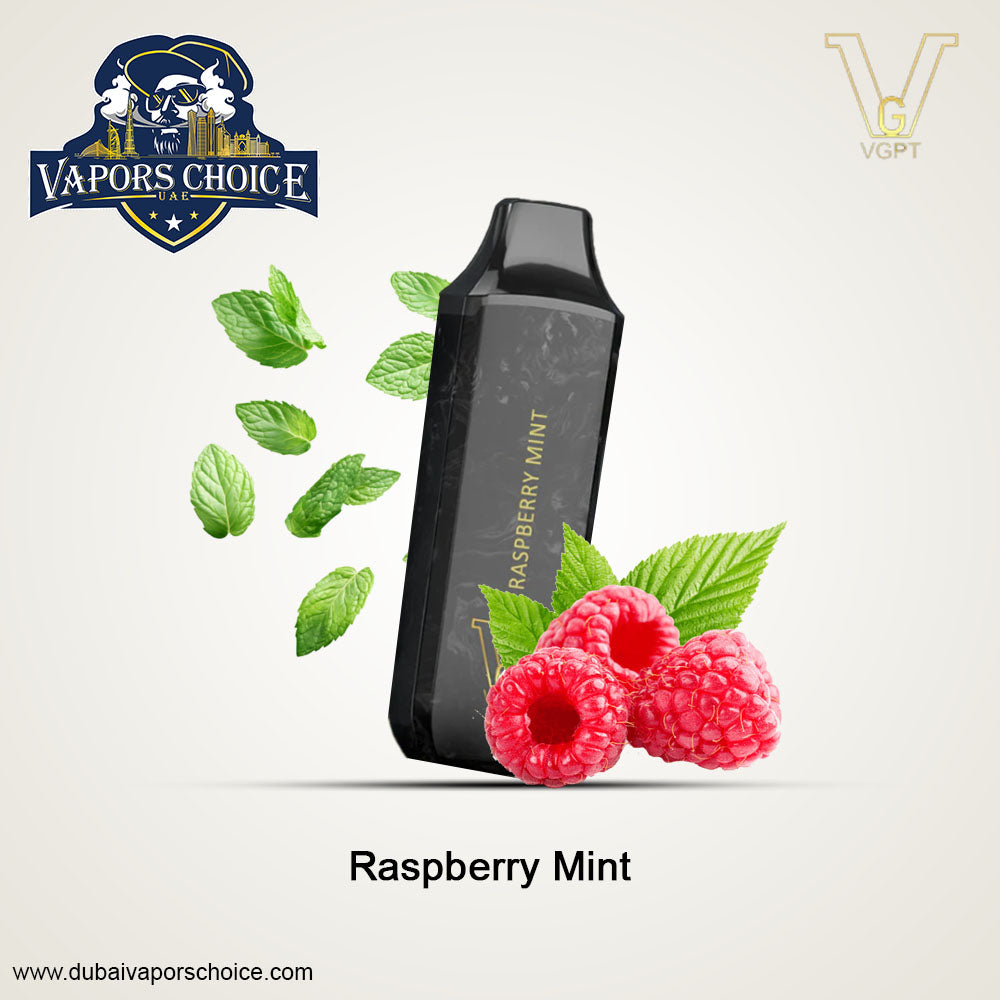 VGPT DISPOSABLE VAPE (0mg&20mg&50mg)-6000 PUFFS Raspberry Mint UAe Dubai & Al Ain