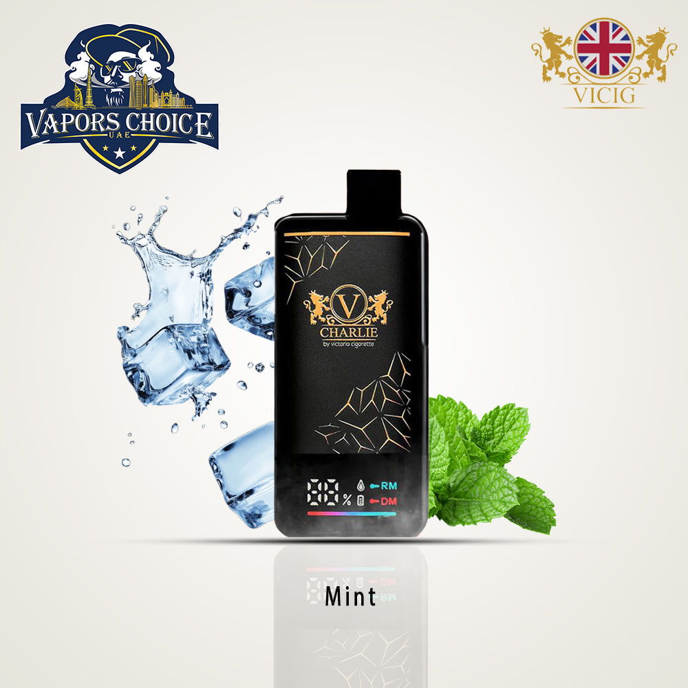 VICIG CHARLIE 15000 Puffs (20mg & 50mg) -  Disposable Vape Mint UAE Ajman