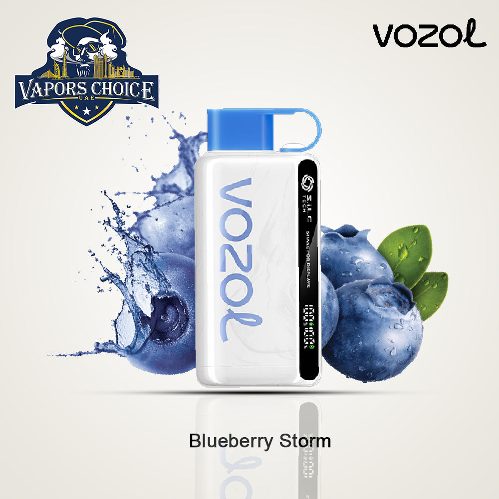 VOZOL STAR (50mg) 12000 PUFFS - DISPOSABLE VAPE Blueberry Storm UAE Dubai